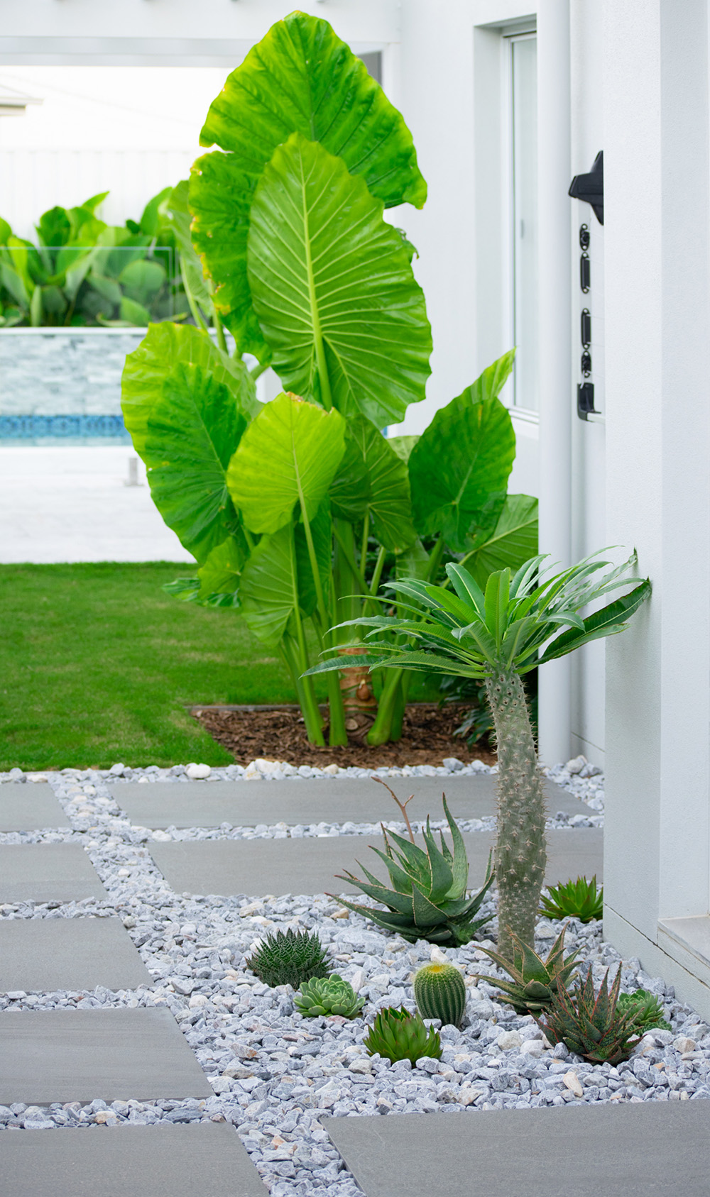 Pimpama TropiScapes Brisbane