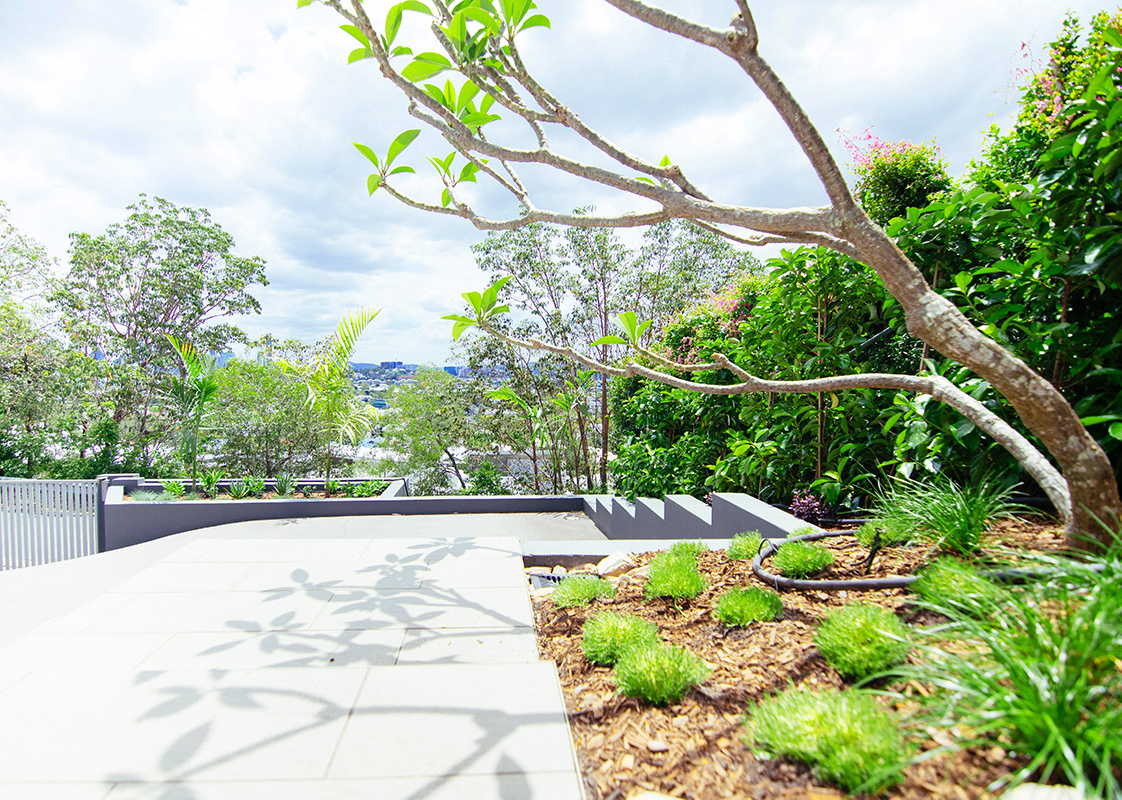 Balmoral Summit TropiScapes Brisbane